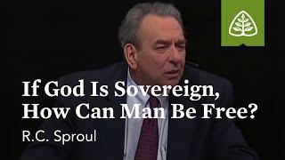 R.C. Sproul: If God Is Sovereign, How Can Man Be Free?
