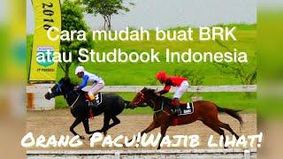 BRK Kuda Cara Mudah buat Akta Lahir Kuda Sesuai Format SBI Lengkap & Detail | hanya 7 menit ngerti