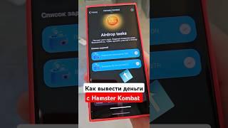 Как вывести деньги с Hamster Kombat| Вывод денег с Хамстер Комбат