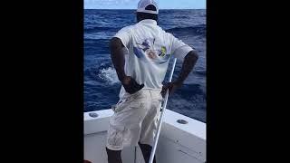 Marlin fishing in Dominican Republic