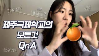 제주국제학교 이 영상 하나로 끝 | Ep. 24 jeju international school QnA 