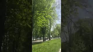 ️Доброго ранку!#VinTime_Вінниця #Вінниця #Україна