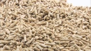 Fröling P4 Pellet - Was sind Holzpellets