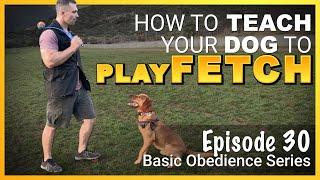 How to Teach Your Dog To Play Fetch. Episode 30