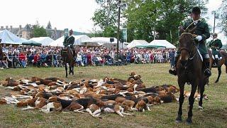 FETE DE LA CHASSE ET DE LA PECHE  HARAS NATIONAL DU PIN 2015