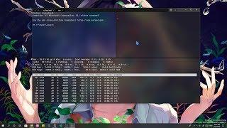This is why Windows 10 Terminal, will be better than any Linux Terminal!!