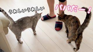 素直に甘える猫とツンデレ猫の甘え方違いがこちらですｗ