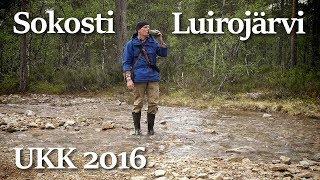 Lapin vaellus alkukesällä 2016 | Urho Kekkosen kansallispuisto