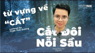 Cắt Đôi Nỗi Sầu (Tăng Duy Tân) - Thầy Giáo 9x Thái Dương