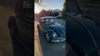 1960 VW Bug #vwbug #classicvolkswagen #germancar #oldschool #vwbeetle #vwcar #classic #vwclub