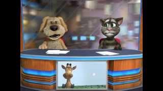 Talking Tom & Ben News: stupidness