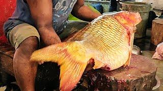 I Never Seen!!! Giant Carp Fish Cutting Live In Fish Market | Fish Cutting Skills