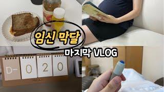 [임산부 vlog] D-20, 막달 10개월 일상~ 태동검사 하는날!!!