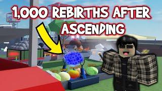 1,000th Rebirth After Ascend in Gumball Factory Tycoon Roblox