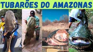 MONSTROS do Rio Amazonas. O perigo escondido que ameaça quem entra no rio.