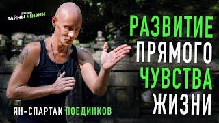 Развитие прямого чувства жизни. Ян-Спартак Поединков