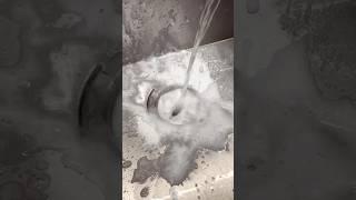 Kitchen sink clean pt. 2 #cleaning #cleaningmotivation #motivation #hacks #short #kitchencleaning