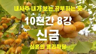 시작하는 사주명리 천간 "신금(辛金)" 내사주 내가 보는 공부하는 곳 #사주팔자 #사주 #사주명리 #교육 #명리학 #자기계발 #운세