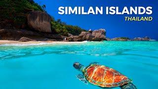 Similan Islands | Turtles and the most crystal-clear water in Thailand