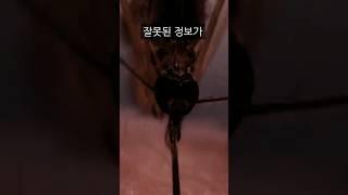 감염자 급증(뉴스도 믿지마세요)