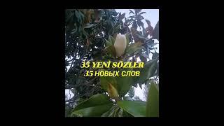 YENİ SÖZLER. YENI CÜMLELER. НОВЫЕ СЛОВА. НОВЫЕ ПРЕДЛОЖЕНИЯ.