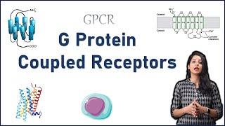 GPCR Cell Signaling II G Protein Coupled Receptors I Cell Signaling