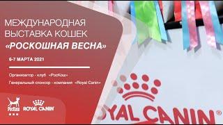 МЕЖДУНАРОДНАЯ ВЫСТАВКА КОШЕК «РОСКОШНАЯ ВЕСНА»