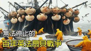 [生物放大鏡] 扇貝引發的百年"扇貝戰爭" | 35艘法國漁船 vs 5艘英國大型漁船 | 難以停止的百年之戰