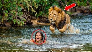 WOMAN DROWNS AND SCREAMS FOR HELP, THEN A LION HEARS HER AND WHAT HAPPENS IS UNBELIEVABLE!