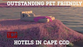 Amazing cozy dog  friendly hotels In cape cod