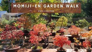 Momiji-En Bonsai Garden Walk - Mid Fall
