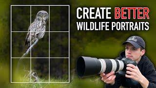 6 Composition Tips for Better Wildlife Portraits