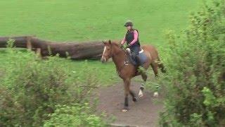 Cross Country Schooling with exracehorse Dave - first attempt - vlog004