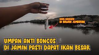 Pakai umpan ini kalau mancing dari atas jembatan, auto narik ikan besar