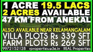 Farm Land for Sale after Anekal 48 km | Farm Land for Sale near Denkanikottai | 15 km to KA Border