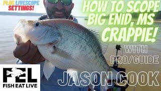 Crappie Guide Jason Cook Catching Slabs with Livescope on Enid Lake in Mississippi Fish Eat Live