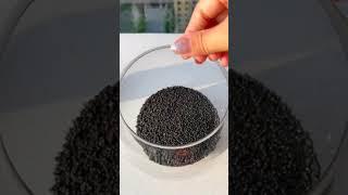 How to Grow Aquatic Plant seeds for your aquarium | Nano Glass bowl Aquarium with seeds plant |