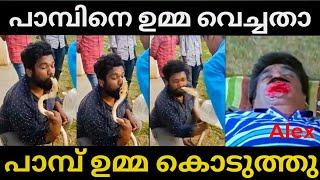 പാമ്പിനോട അവന്റെ കളി| Snake biting in the lips | Troll Malayalam| SJR Trolls