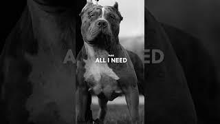 ?MRK - ALL I NEED [DON'T BULLY MY BREED #ENDBSL] OUT NOW!