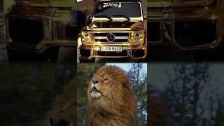 Cars & Animals #car #animals #lamborghini #bmw #mercedes #bugatti #viral #shorts #jblremix.1 #dog