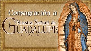 Consagración a Nuestra Señora de Guadalupe con el Padre Javier Marín