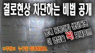 [참고 영상]  결로 생긴 방 곰팡이 잡는 단열하기 #결로 #곰팡이 #단열