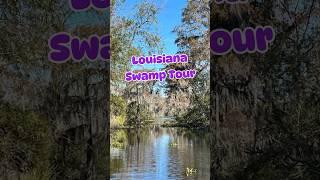 Louisiana Swamp Tour #travel #adventure #nature @thegreatescapepodcast