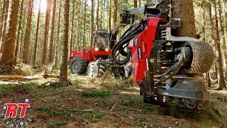 Dangerous Fast Destroy Big Tree Machine Working - Extreme Equipment Excavator Cutting Tree Machine