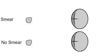 Smear vs No Smear Animation Test