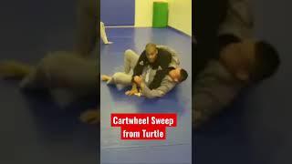 Cartwheel Sweep From Turtle