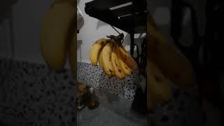 wobble banana