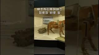 제주시 실내 가볼만한곳 민속자연사박물과 요금 및 운영시간 안내