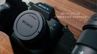 Sony A7S III Cinematic footage 4K | CANADA