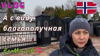 Влог. Пряников на деревне не было.../Nº12 - 12.2024/EcoMia Life